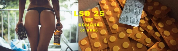 spice Богданович