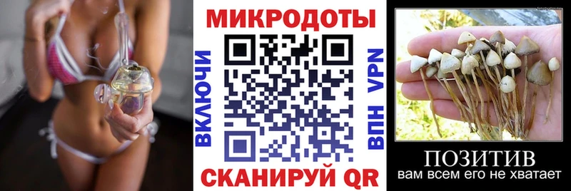 где купить   Курильск  Галлюциногенные грибы мицелий 
